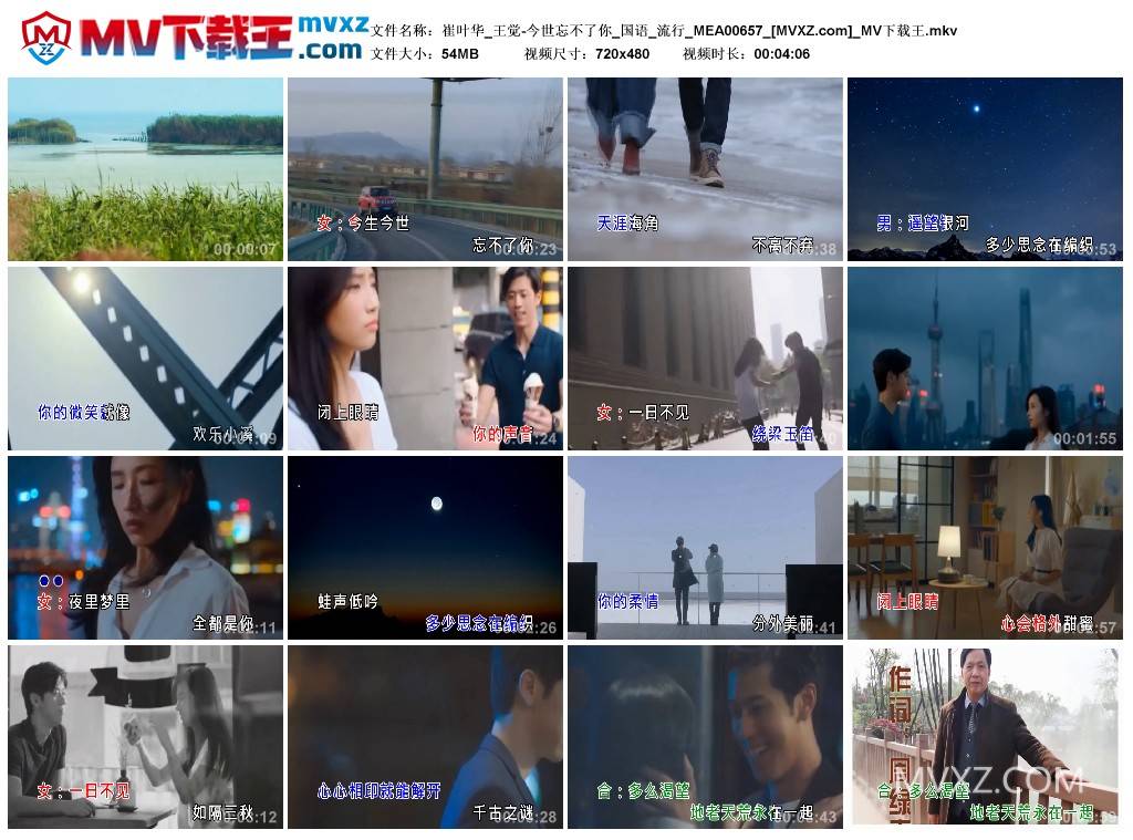 崔叶华_王觉-今世忘不了你_国语_流行_MEA00657